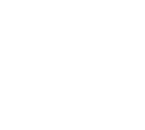 logo tin white transparent v2